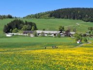 2025-06-gfoehlberg-13